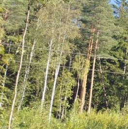 Продажа дома Рахья садоводческий массив, Косой Карьер СНТ, 4-я линия