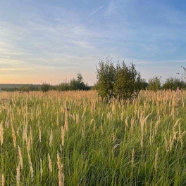 Продажа земли деревня Аргуново