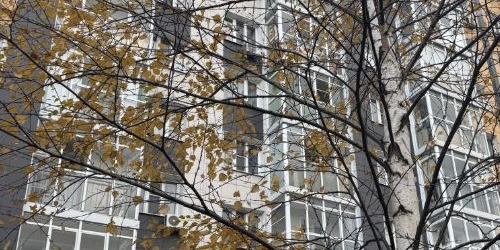 1-комн квартира 5-я Парковая улица, 62Б