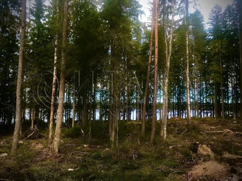Продажа земли Малышево, Малышево п.