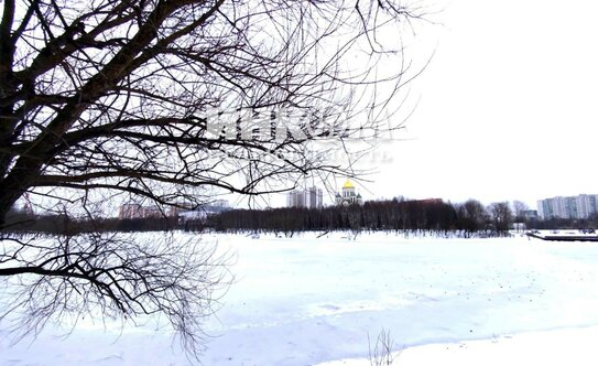 Продажа 1-комн квартиры на вторичном рынке Боровский пр-д,  д. 12