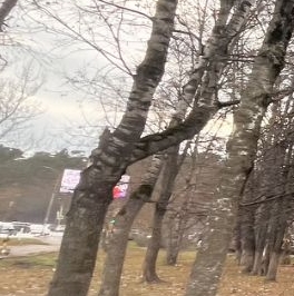 Продажа 2-комн квартиры на вторичном рынке Раменское, Фабричная улица, 21