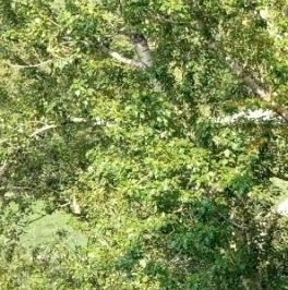 Продажа 2-комн квартиры на вторичном рынке улица Седова, 17К1 Продажа 2-комн квартиры на вторичном рынке улица Седова, 17К1