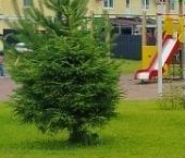 Продать Дачи, коттеджи, загородные дома д. Аннолово, улица Молодежная   