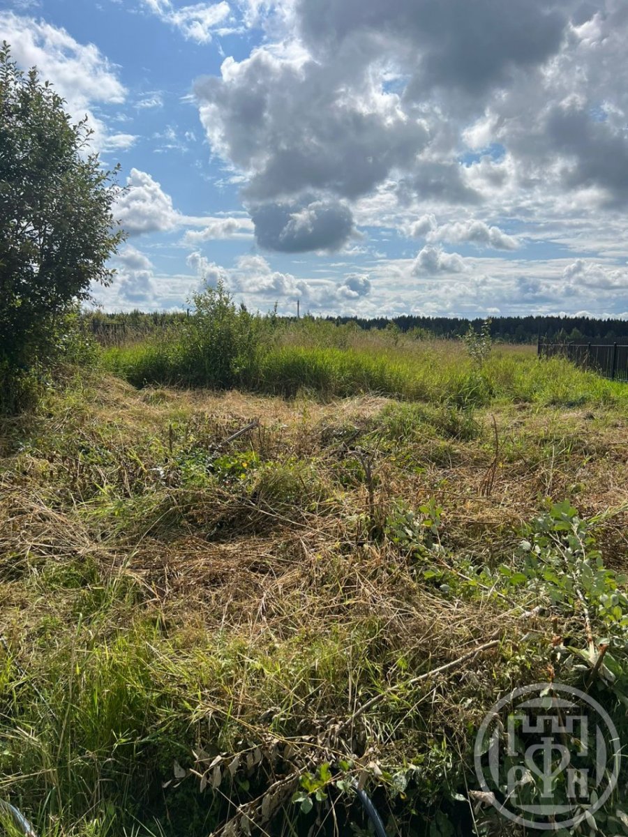 Продажа земли Нижние осельки снт, Лесная ул