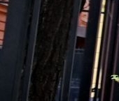 Продать Квартиры вторичка Трехпрудный переулок, 3/16   