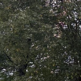 Продажа 1-комн квартиры на вторичном рынке бульвар Маршала Рокоссовского, 8К1 Продажа 1-комн квартиры на вторичном рынке бульвар Маршала Рокоссовского, 8К1