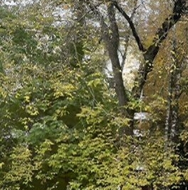 Продажа 3-комн квартиры на вторичном рынке Авиационная улица, 40