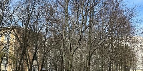 3-комн квартира переулок Каховского, 7