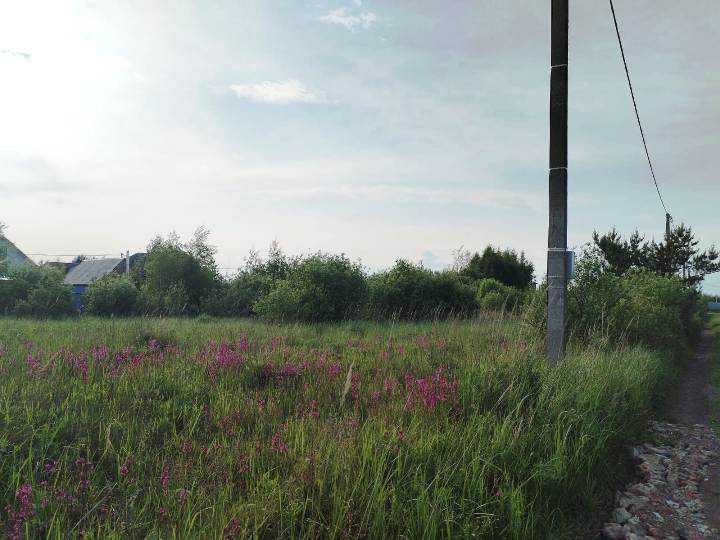 Продажа земли Хорлово, снт Химик-6