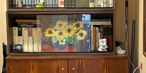 2-комн квартира Новодевичий проезд, 10