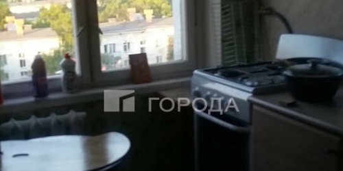 2-комн квартира улица Генерала Рычагова,  д. 14