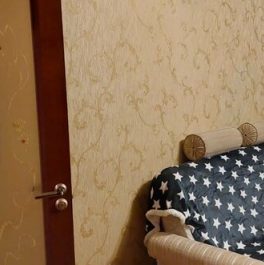 Аренда 1-комн квартиры на вторичном рынке Плещеева ул,  д. 8