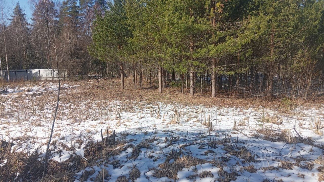 Продажа земли Авлога СНТ, 1-я линия, 1