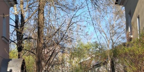1-комн квартира улица Савушкина,  д. 59