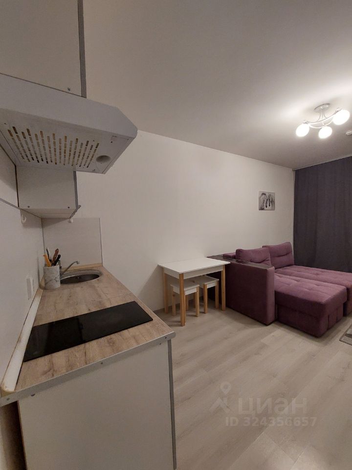 Аренда студии проспект Ветеранов, 173к1