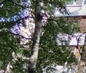 Продать Квартиры вторичка 16-я Парковая улица, 19К1   