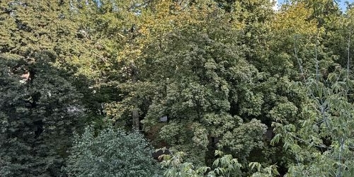 2-комн квартира Сходненская улица, 31