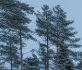 Продать Дачи, коттеджи, загородные дома Каскад кп, 12   