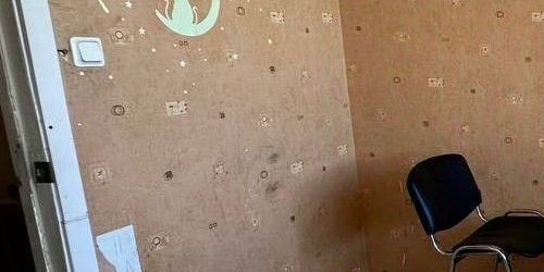 2-комн квартира проспект Косыгина, 23к1