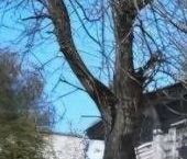 Продать Квартиры вторичка Новая Ладога, Пионерская улица, 3   