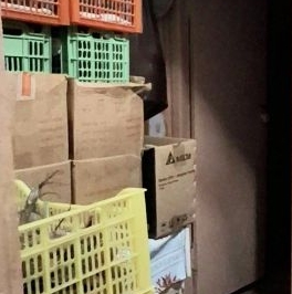 Продажа 2-комн квартиры на вторичном рынке Каменноостровский проспект, 9 Продажа 2-комн квартиры на вторичном рынке Каменноостровский проспект, 9