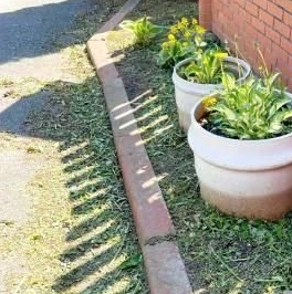 Продажа земли пос. Стрельна, улица Новые Заводы, 25б Продажа земли пос. Стрельна, улица Новые Заводы, 25б