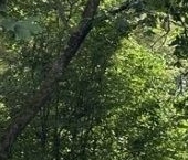 Продать Квартиры вторичка Сестрорецк, улица Воскова, 11   