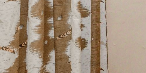 2-комн квартира Сертолово, Выборгское шоссе, 1