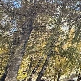 Продажа 2-комн квартиры на вторичном рынке Раменское, Коммунистическая улица, 6 Продажа 2-комн квартиры на вторичном рынке Раменское, Коммунистическая улица, 6