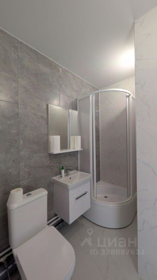 Аренда студии Шушары п, Детскосельский совхоз тер,  д. 4