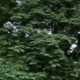 Продажа 2-комн квартиры на вторичном рынке Севастопольский проспект, 51К3 Продажа 2-комн квартиры на вторичном рынке Севастопольский проспект, 51К3