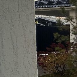 Продажа дома Петергоф, Собственный проспект, 54 Продажа дома Петергоф, Собственный проспект, 54