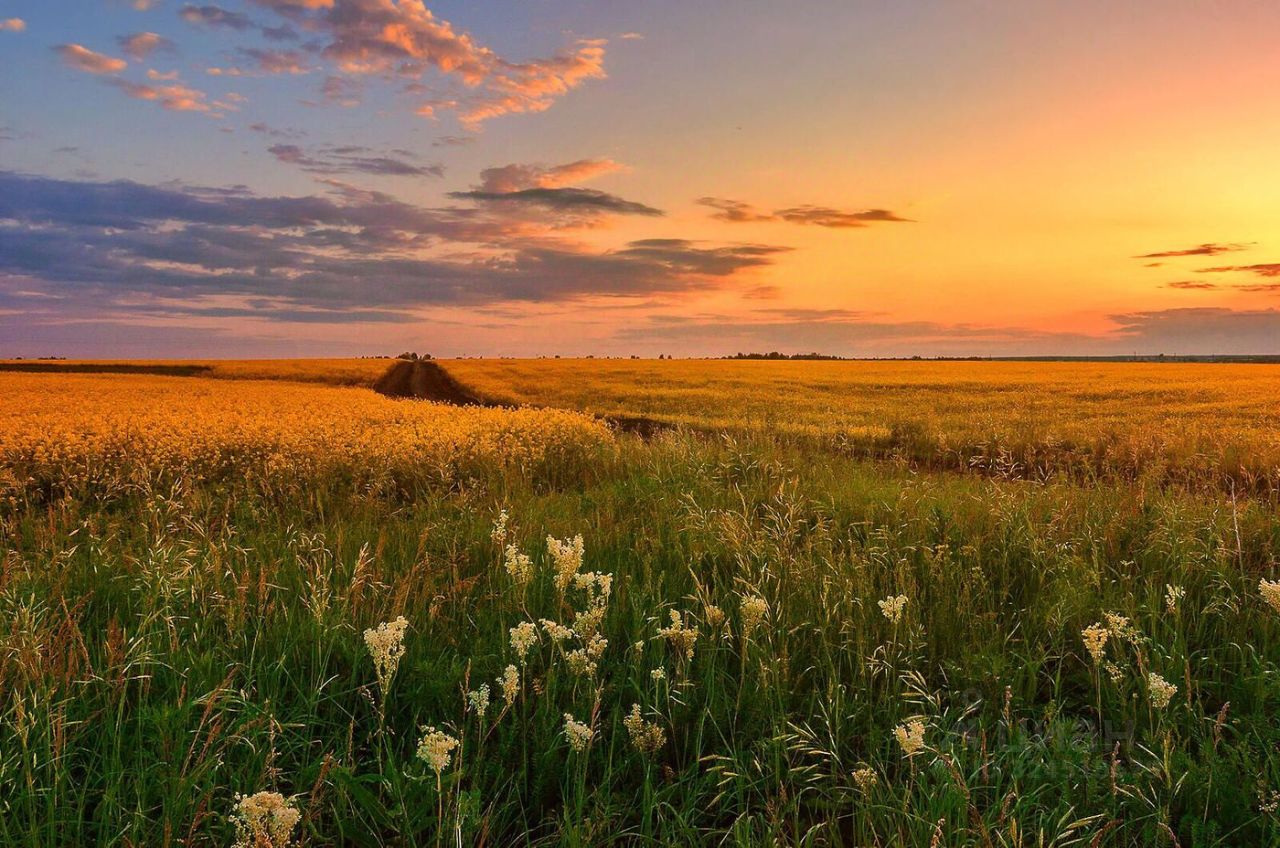 Продажа земли пос. Речников, улица Дачная