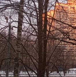 Аренда 2-комн квартиры на вторичном рынке Сумской проезд, 12К3 Аренда 2-комн квартиры на вторичном рынке Сумской проезд, 12К3