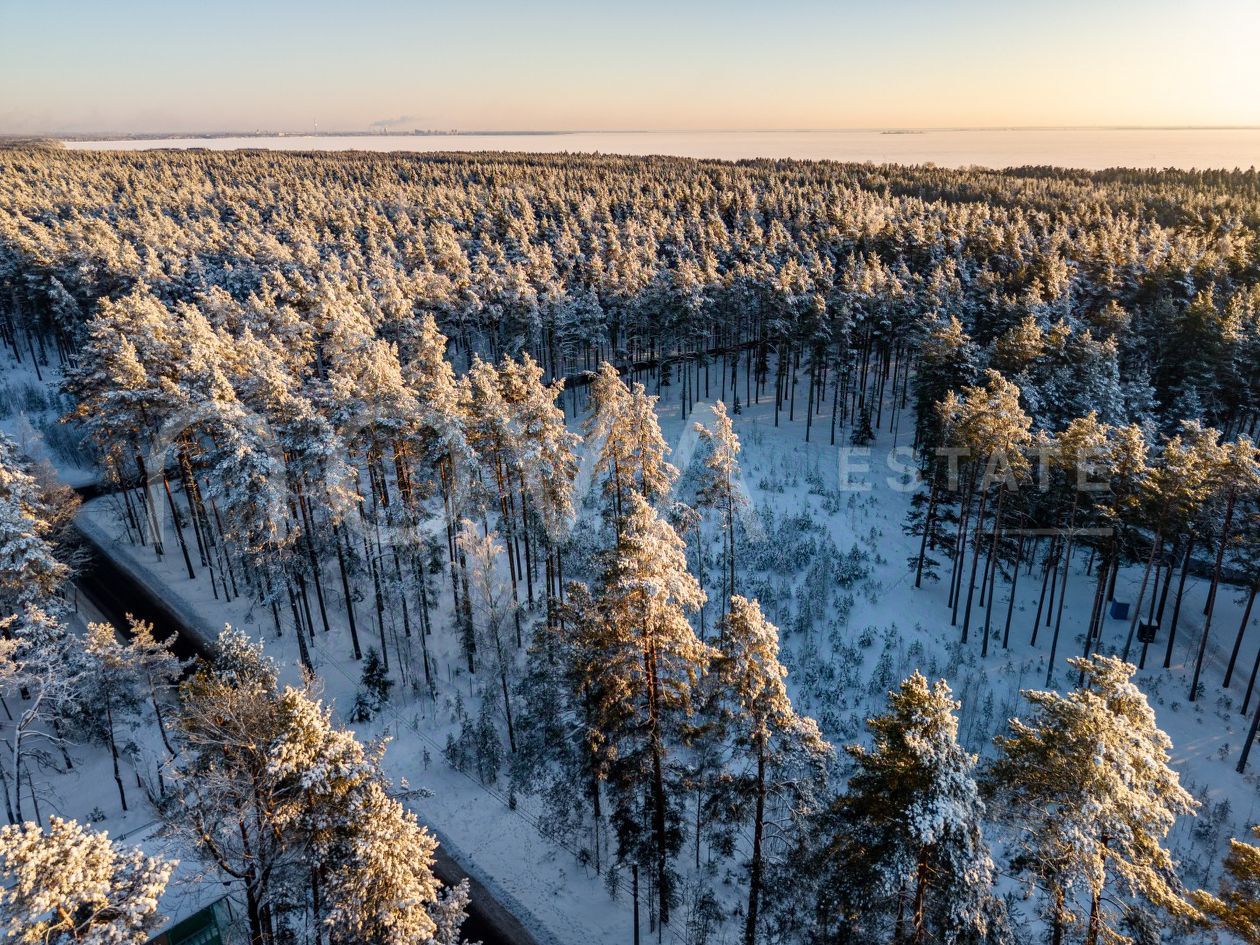 Продажа земли пос. Комарово, проспект Лесной