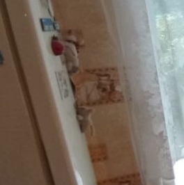 Продажа 4-комн квартиры на вторичном рынке улица Вучетича, 17к1 Продажа 4-комн квартиры на вторичном рынке улица Вучетича, 17к1