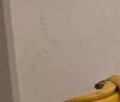 Продать Квартиры вторичка улица Степана Супруна, 12К1   