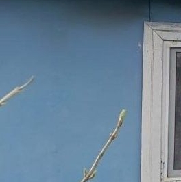 Продажа дома д. Крюково, улица Центральная