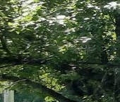 Сдать в аренду Квартиры вторичка улица Костюшко, 54   