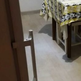 Аренда 1-комн квартиры на вторичном рынке улица Куусинена, 6К10 Аренда 1-комн квартиры на вторичном рынке улица Куусинена, 6К10