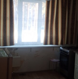 Продажа 1-комн квартиры на вторичном рынке Кингисепп г, Крикковское ш,  д. 10