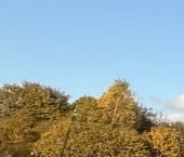 Продать Земельные участки, земля Волжа СНТ, улица 3-я, 14   