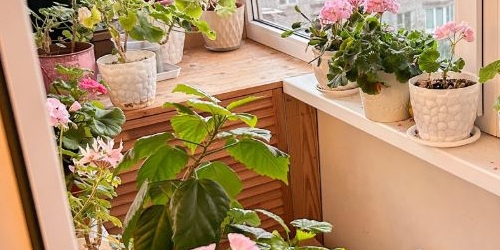 3-комн квартира улица Покрышева, 2/40