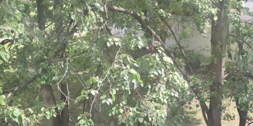 1-комн квартира улица Красных Зорь, 37