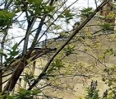 Продать Квартиры вторичка Социалистическая улица, 3   