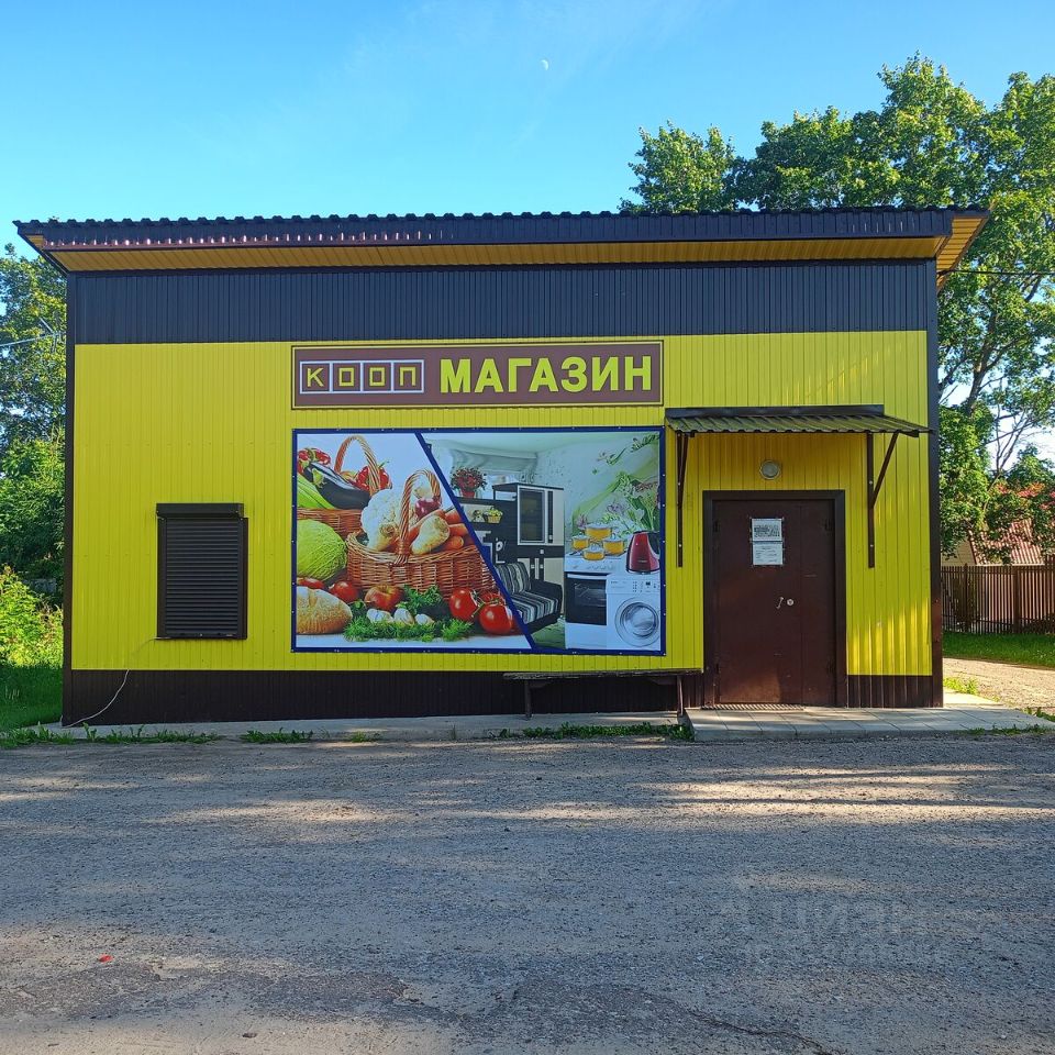 Продажа земли д. Большие Озерцы, улица Партизанская, 75