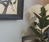 Сдать в аренду Квартиры вторичка 1-я Тверская-Ямская улица, 11   