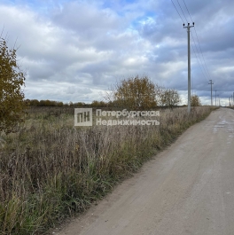 Продажа земли тер. СНТ Мгинское (Келколово-1), тер. СНТ Мгинское (Келколово-1), Продажа земли тер. СНТ Мгинское (Келколово-1), тер. СНТ Мгинское (Келколово-1),