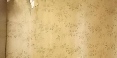 3-комн квартира Петрозаводская улица, 15К4